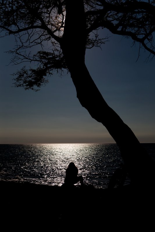 The silhouette of a woman gazes over the Pacific Ocean beneath a tree
